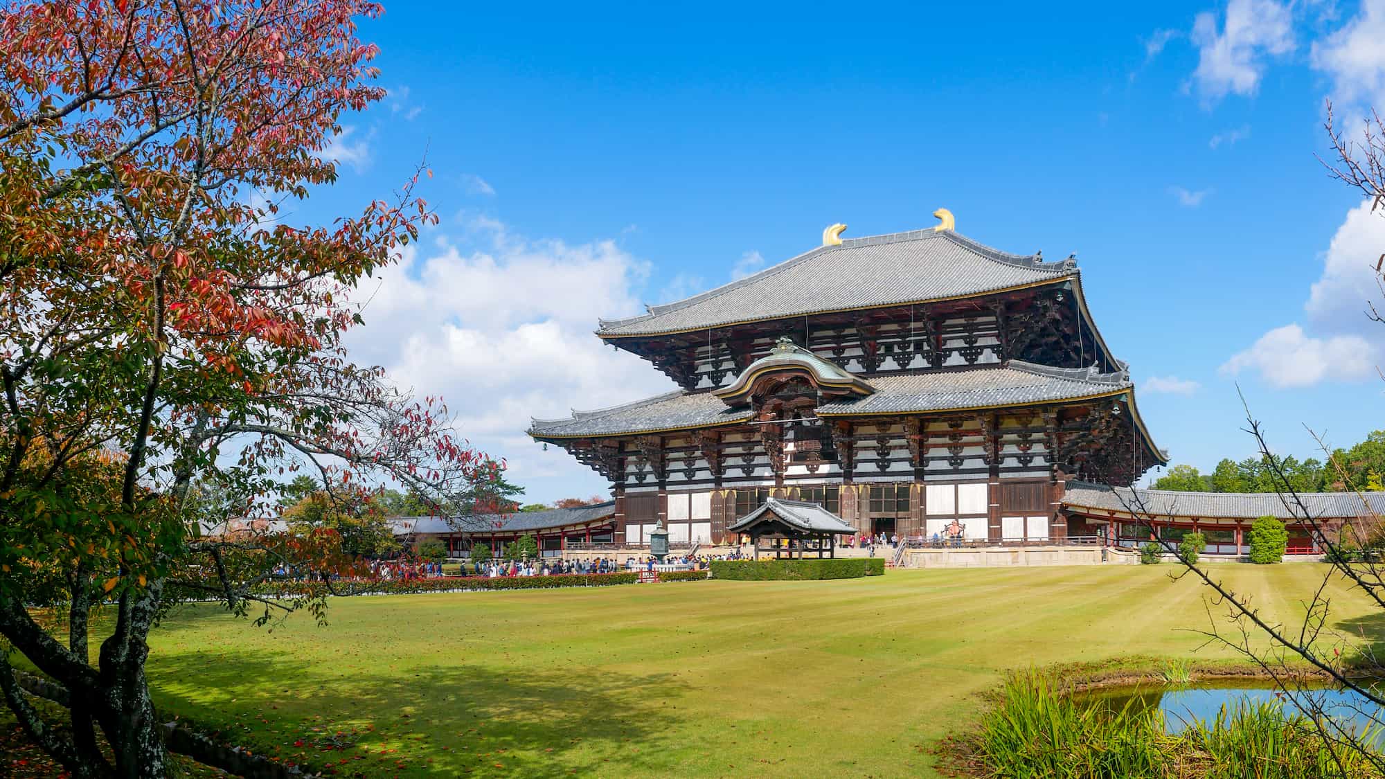 奈良の歴史と文化を未来へ